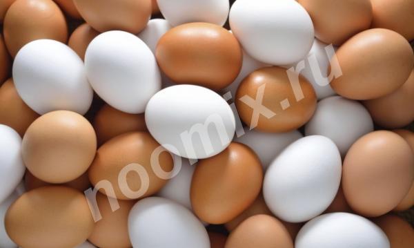 Свежее яйцо от домашних курочек, Республика Бурятия