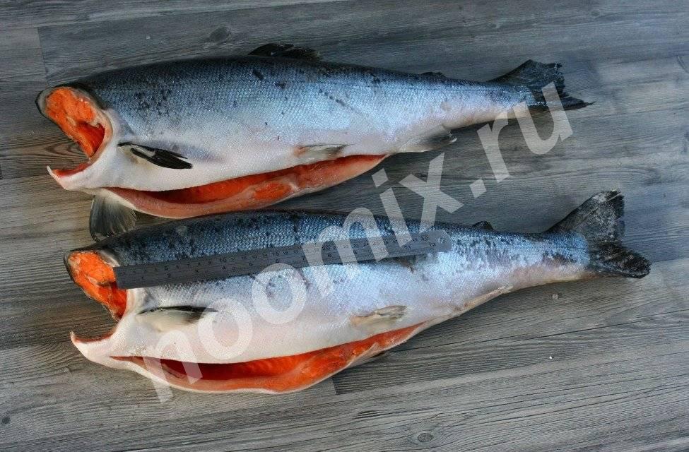 Продажи с м рыбы по низкой цене, Красноярский край