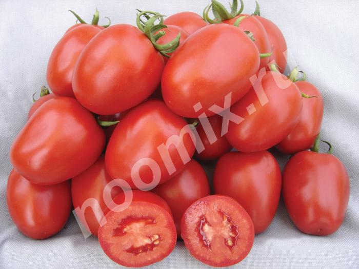 Семена томата Рио Гранде - овальный красный