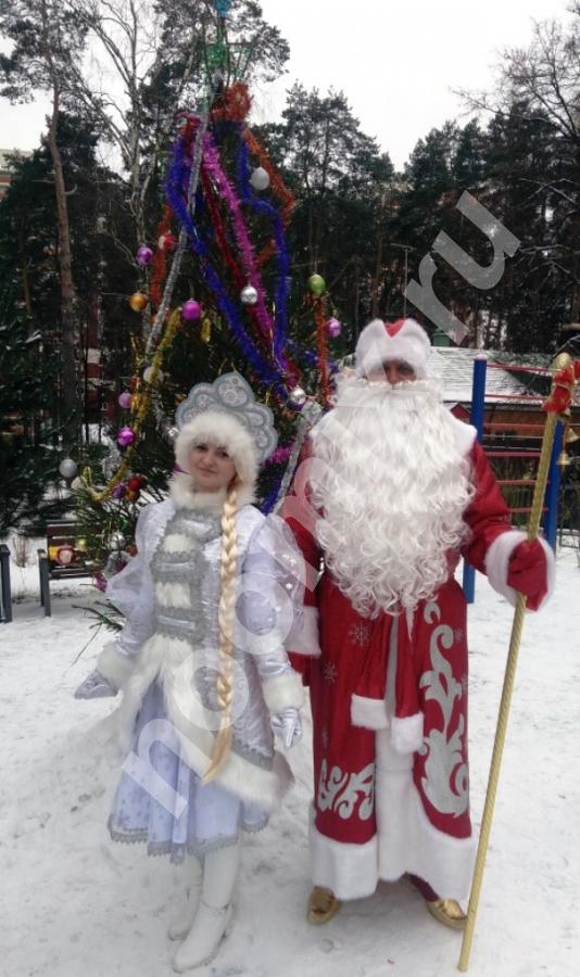 Дед Мороз и Снегурочка, на дом, двор, корпоратив, Московская область
