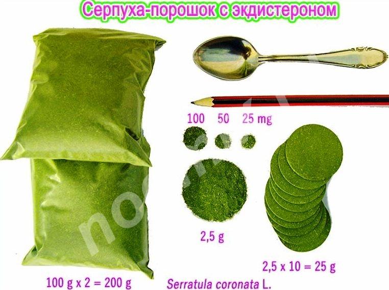 Серпуха-порошок с экдистероном 200 гр, Архангельская область