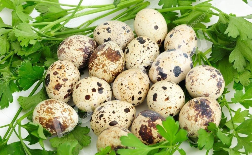 Яйцо столовое перепелинное, Курганская область