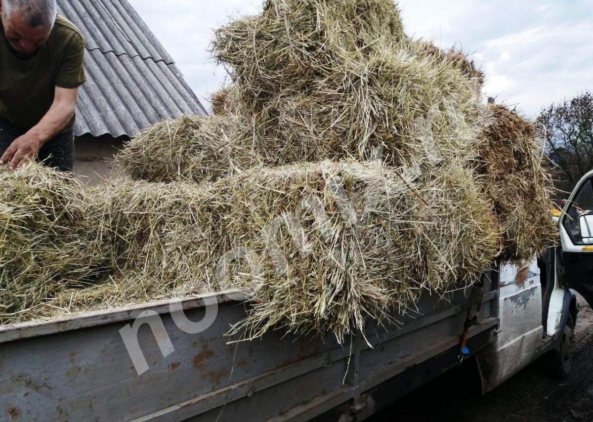 Продаю сено луговое, новый урожай, Тульская область