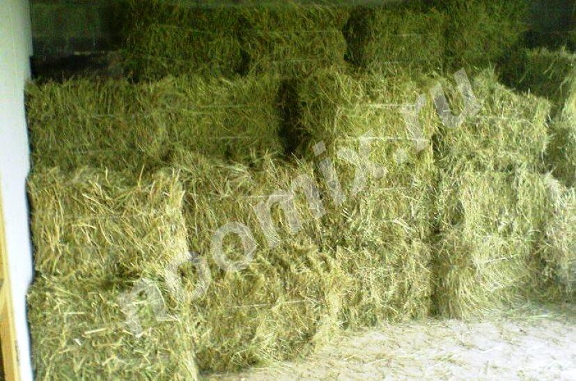 Продается сено свежее в тюках, Архангельская область