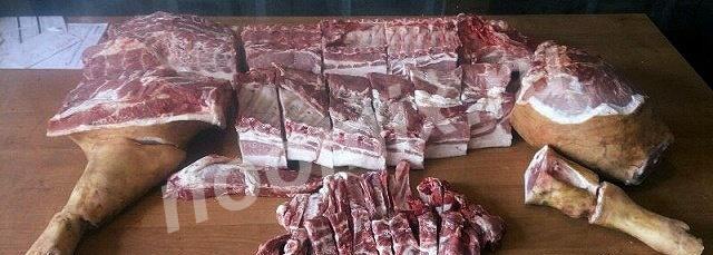 Продаю Свинину, мясо, полутуши, Московская область