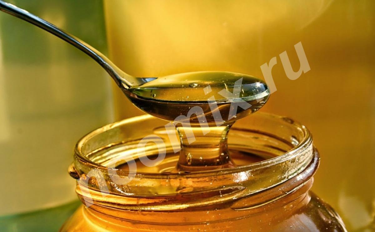 Вкуснейший Алтайский мёд со своей пасики, Томская область