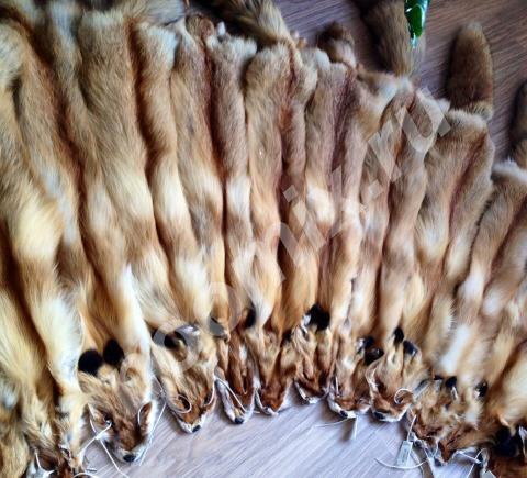 Продам шкуры рыжих лис чернобурки. и другие, Кемеровская область