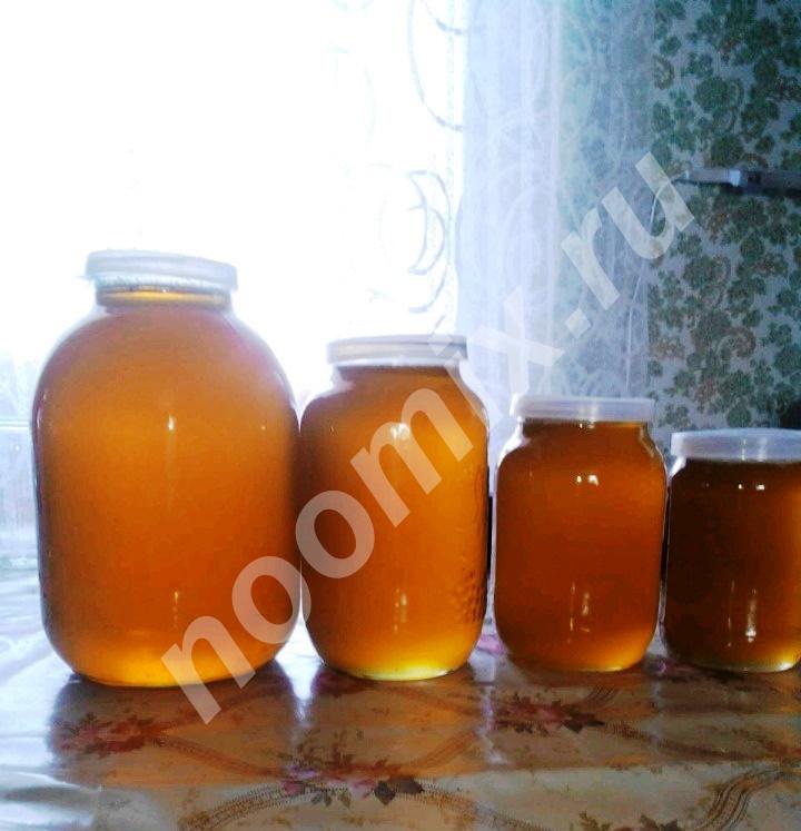 Продаю свежий мед - Цветочный, майский, рапсовый, Липецкая область