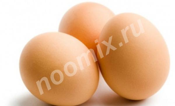 Инкубационное яйцо бройлер,  МОСКВА