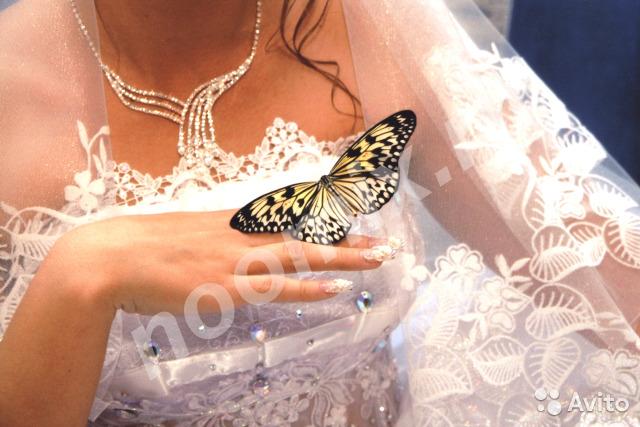 Живые бабочки на ваш праздник, Карачаево-Черкесский АО