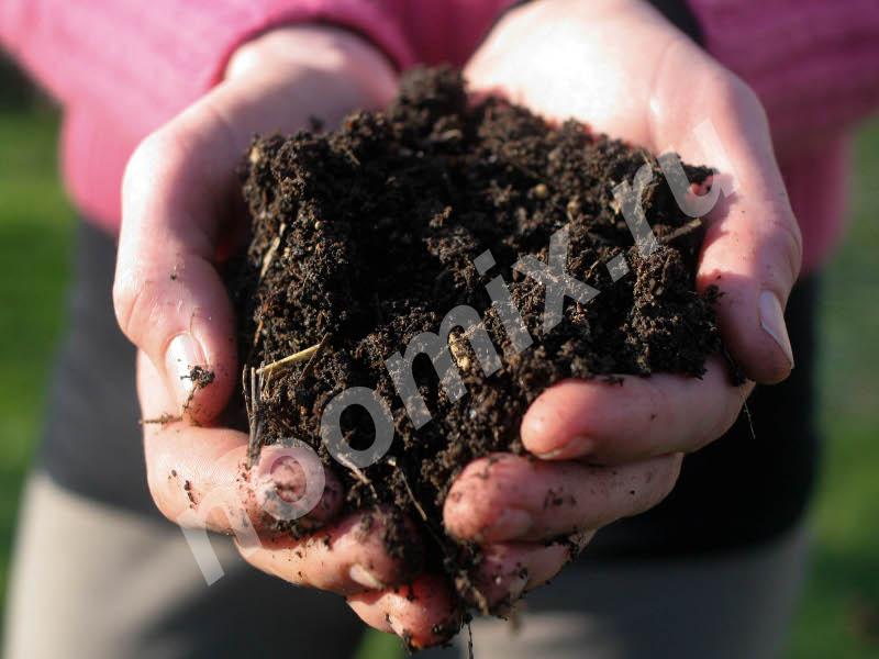 70 процентов хорошего урожая зависит от плодородной земли, ...,  САНКТ-ПЕТЕРБУРГ