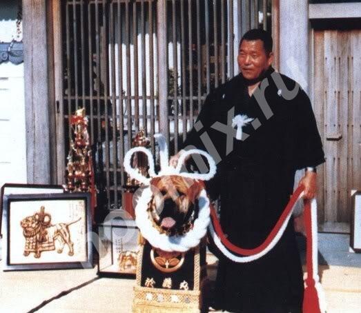 Продаю щенков японского мастифа, Саха (Якутия)