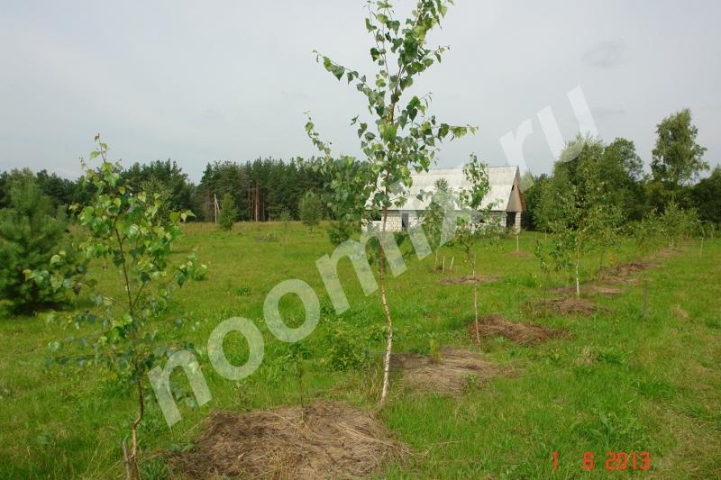Продаю землю сельхозназначения в Калужской области, Калужская область