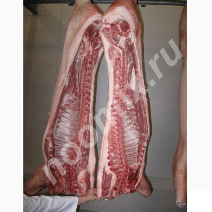 Реализуем свинину в полутушах, дешево, Калужская область