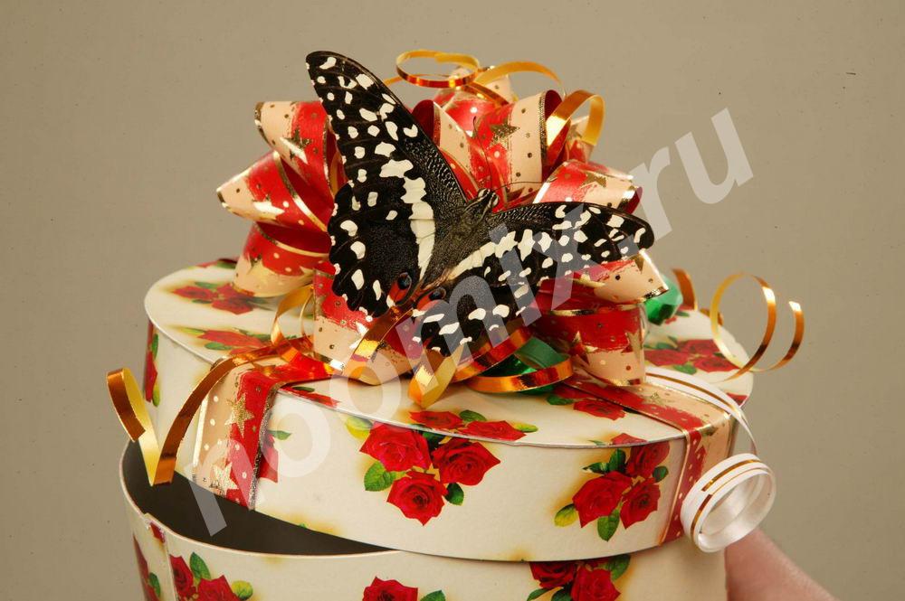 Уникальный подарок из жuвых бабочек на празднuк, Республика Северная Осетия